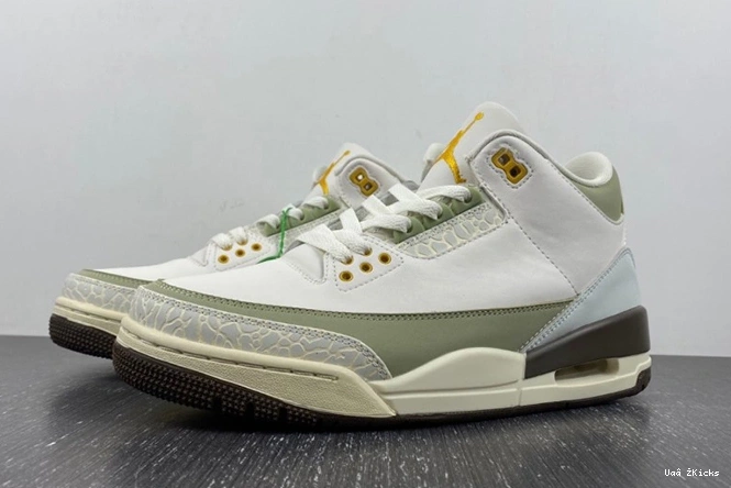 4843 DX6660- 3 Elegant Retro 380 Jordan 0714